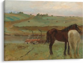 Obraz - Edgar Degas, Horses in a Meadow, reprodukcia (70x50 cm)