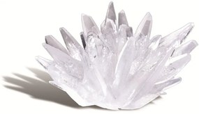 Pestovanie kryštálov