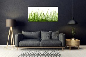 Skleneny obraz Tráva príroda rastlina 120x60 cm