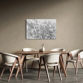 Obraz - Chladná zima (90x60 cm)