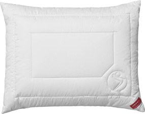XXXLutz VANKÚŠ, 70/90 cm Hefel Textil - Prikrývky & vankúše - 004636001703