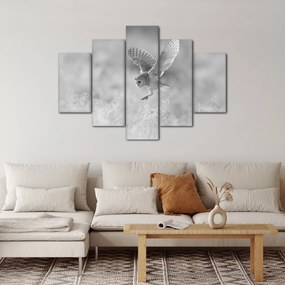 Obraz - Sova, čiernobiela (150x105 cm)