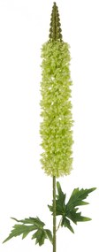 Dekoratívna kvetina 108 cm, s kvetmi 44 cm, zelená