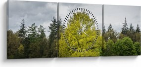 Obraz zeleného stromu uprostred poľa (s hodinami) (90x30 cm)