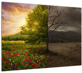 Sklenený obraz - Kolobeh života (70x50 cm)