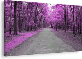 Obraz - Cesta parkom (90x60 cm)