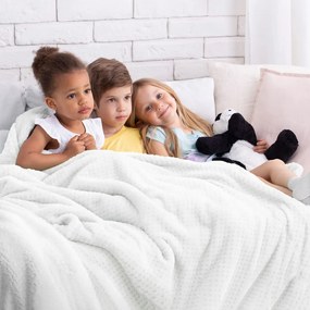 Deka AmeliaHome Shleepy svetlošedá