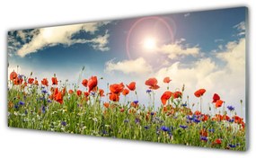 Obraz plexi Lúka kvety slnko príroda 125x50 cm
