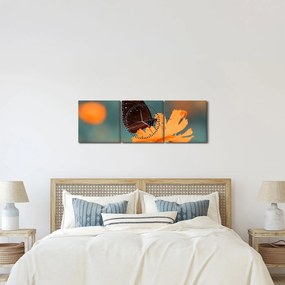 Obraz - motýľ na oranžovom kvete (s hodinami) (90x30 cm)