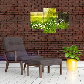 Obraz paseky a kvetín (90x60 cm)