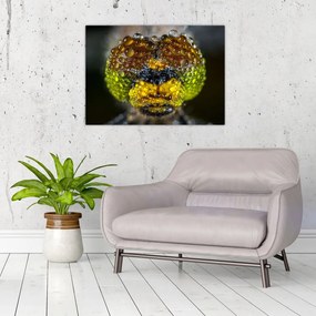 Detailný sklenený obraz očí hmyzu (70x50 cm)
