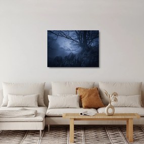 Sklenený obraz temného lesa (70x50 cm)