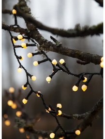 Vonkajšia svetelná LED reťaz Star Trading Berry Mini, dĺžka 6 m