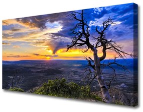 Obraz Canvas Strom zápas slnko 120x60 cm