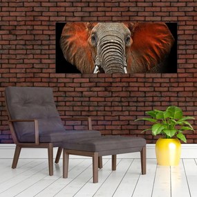 Obraz - Slony z Tsavo (120x50 cm)