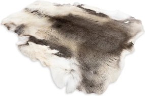 Koberec RENIFER POK017 sivý / biely