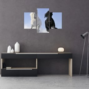 Obraz - Kone v zime (90x60 cm)