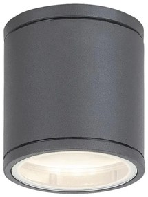 Rabalux 8150 - Vonkajšie stropné svietidlo AKRON 1xGU10/35W/230V IP54