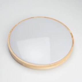 Brilagi - LED stlmiteľné stropné svietidlo PINE LED/24W/230V + diaľkové ovládanie