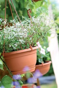 Závesný kvetináč Agro terakota