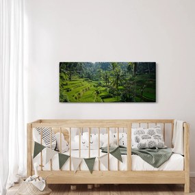 Obraz ryžových terás Tegalalang, Bali (120x50 cm)
