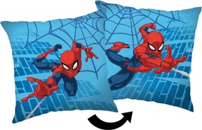 XXXLutz DEKORAČNÝ VANKÚŠ 40/40 cm - Textil do domácnosti - 003580054901