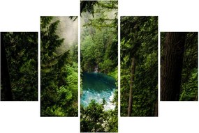 Obraz - Priezor medzi stromami (150x105 cm)