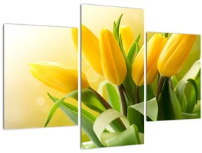 Obraz - Žlté tulipány (90x60 cm)