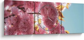 Obraz - Čerešňový kvet (s hodinami) (90x30 cm)