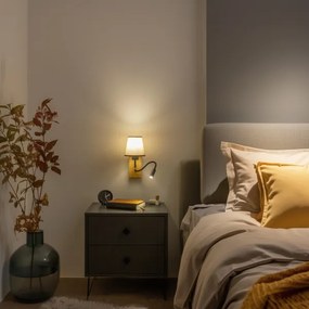 Brilagi - LED Nástenná lampa NUBILA WOOD 1xE27/25W/230V + LED/3W dub/hnedá