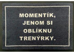 GDmats koberce Rohožka s vlastnou potlačou (logom) na mieru MK415 Velour - 40x60 cm