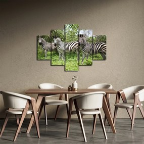 Obraz so zebrami (150x105 cm)