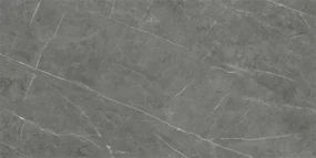 Dlažba Tessino Grey Pulido 60x120 R