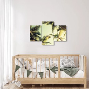 Obraz s kokosovými palmami (90x60 cm)