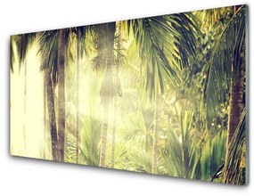 Obraz plexi Les palmy stromy príroda 120x60 cm