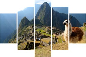 Obrázok - Lama a Machu Picchu (150x105 cm)