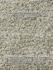 Koberec Ted Baker Notting Hill Portobello Light Green