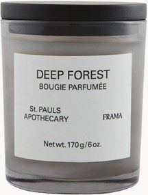 Vonná sviečka Deep Forest (Orange, White Rose, Cedarwood & Patchouli)