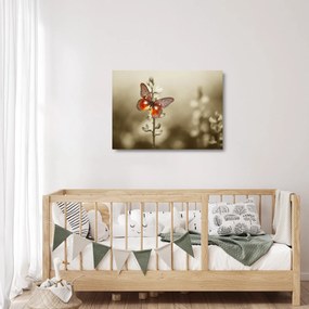 Sklenený obraz motýľa (70x50 cm)