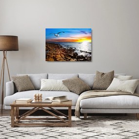 Sklenený obraz - Čajka letiaca nad pobrežím (70x50 cm)