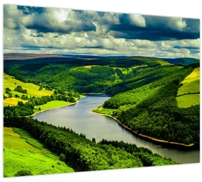 Obraz - Zelená krajina (70x50 cm)