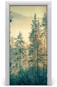 Fototapeta na dvere hmla nad lesom 85x205 cm