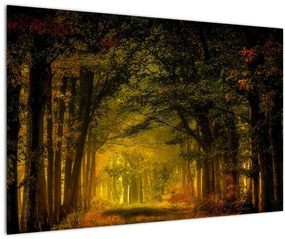 Obraz lesu (90x60 cm)