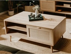 Úložný konferenčný stolík Bali, dub sonoma/výplet%