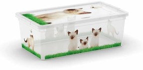 C Box Puppy & Kitten XS, 6l