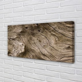 Obraz canvas Drevo uzlov obilia 140x70 cm
