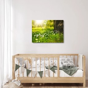 Sklenený obraz paseky a kvetín (70x50 cm)