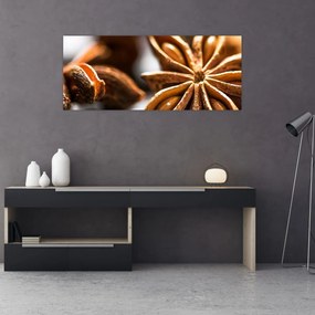 Obraz - Aníz (120x50 cm)