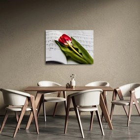 Sklenený obraz červeného tulipánu (70x50 cm)