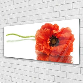 Obraz plexi Kvety príroda 125x50 cm